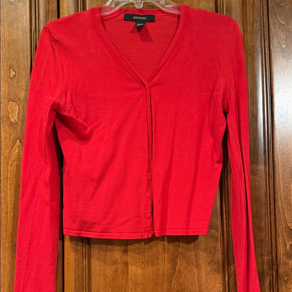 Express Bold Red V-Neck Sweater